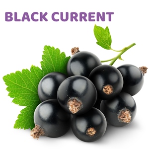 Blackcurrent