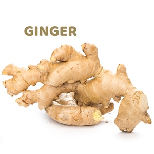 Ginger