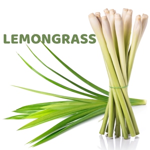 Lemongrass